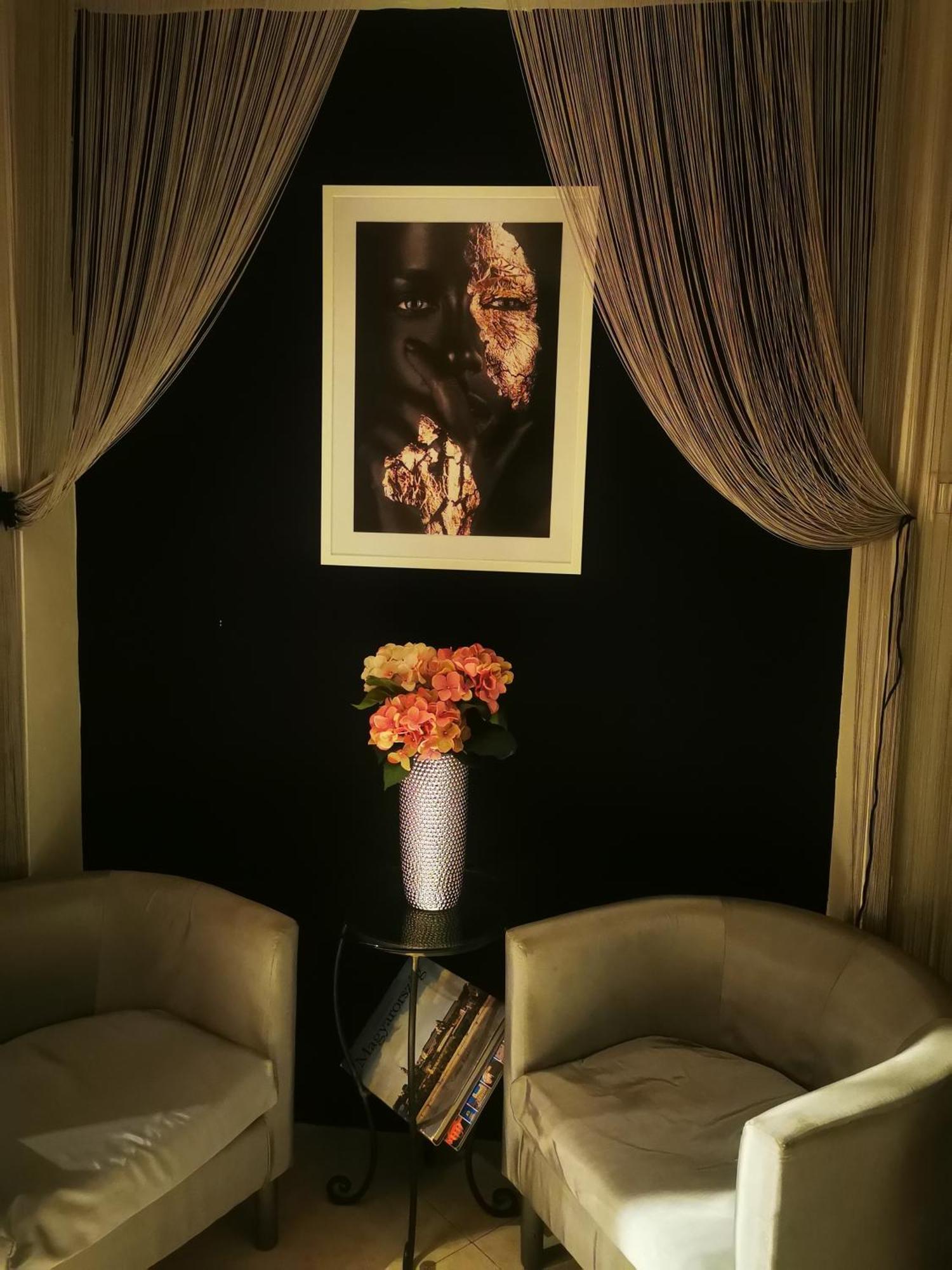 Apartament Luxury Basement In The Surrounding Of Budapest Mogyoród Zewnętrze zdjęcie